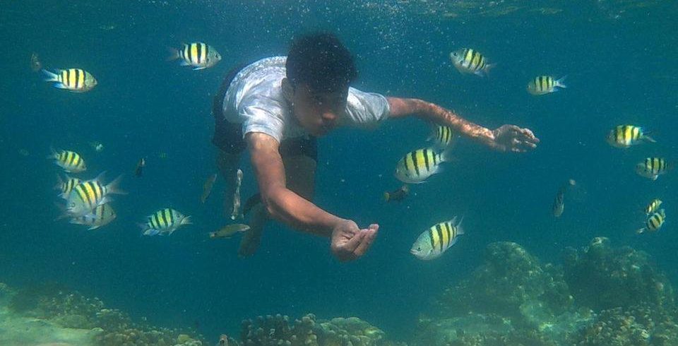 Paket-Tour-Pulau-Pagang-Under-Water